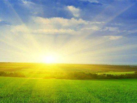 2020H1，錦州陽(yáng)光戮力同心、運(yùn)營(yíng)達(dá)滿產(chǎn)