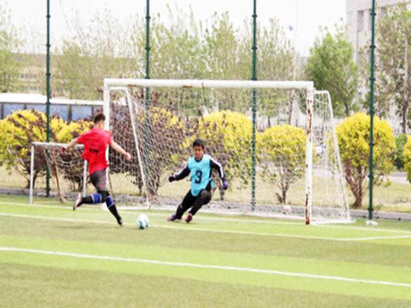人文陽光 | 燃情綠茵場(chǎng)！陽光能源“陽光杯足球賽”正式開賽