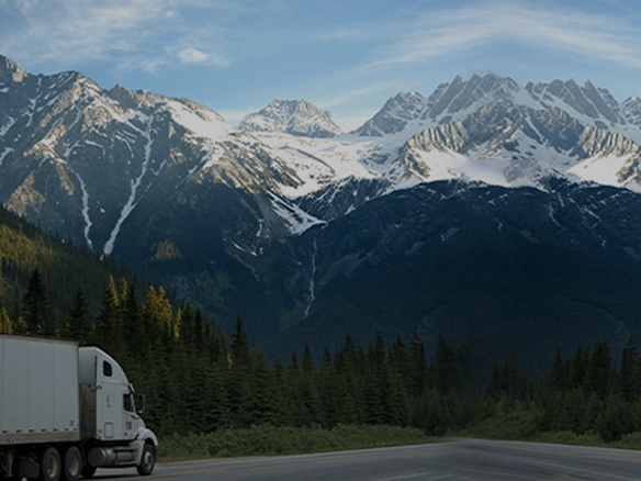 打造綠色典范工程！陽(yáng)光能源助力中廣核新能源吉林白城項(xiàng)目順利開(kāi)工